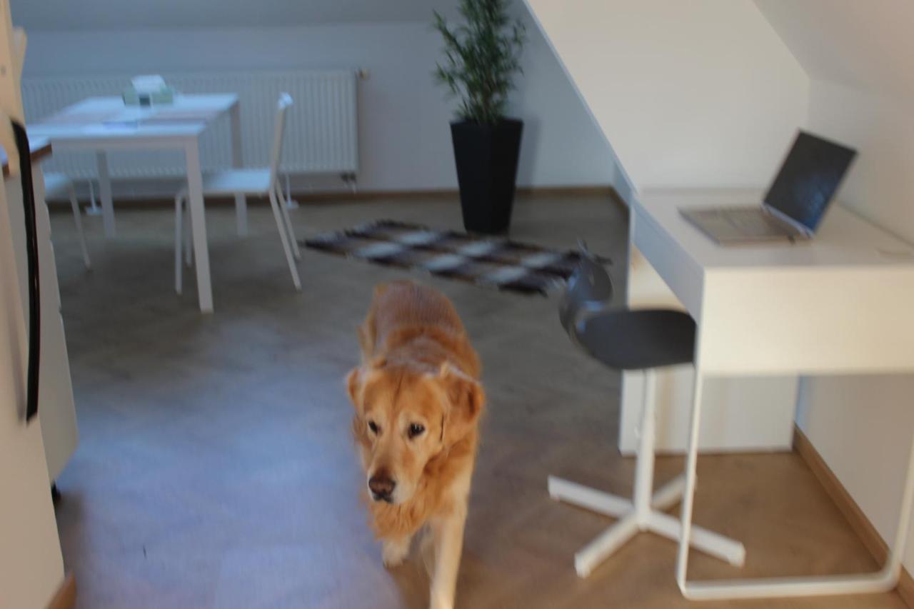 Apartment Haus Semmi *